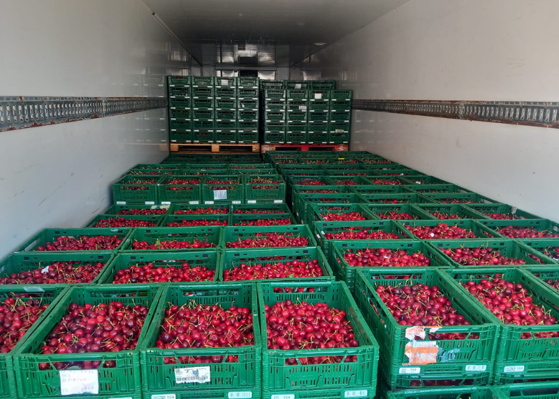 transporte de fruta y perecederos