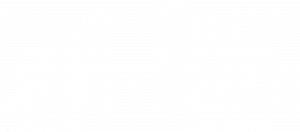 camiones y mercancías sl